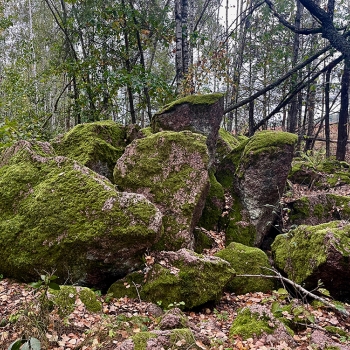 Witch's Stone 