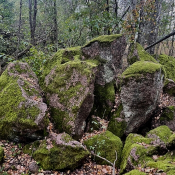 Witch's Stone 