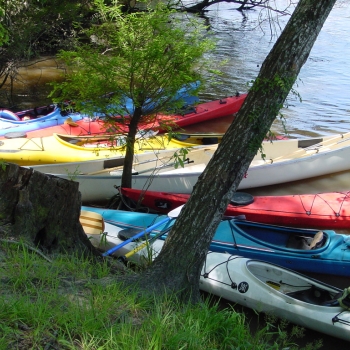 SABAS kayaks