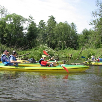 Kayaks and paddleboards at “Grikucis”