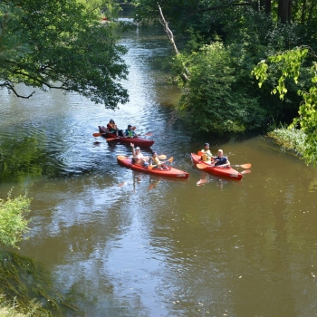 Kayaks of Danutė Bendravičienė