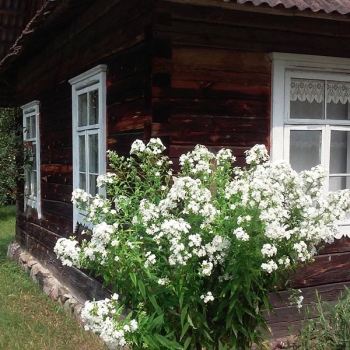 Gertrūda's cottage house