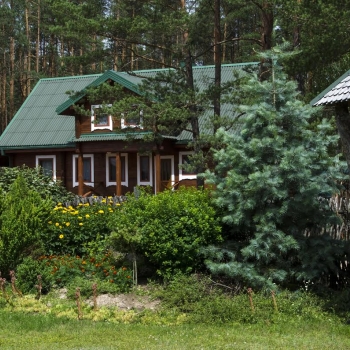 Šilas