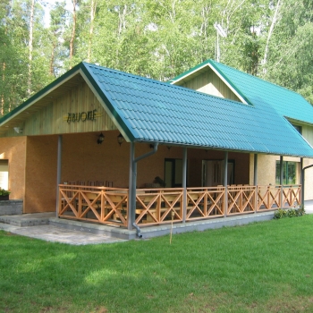 Žibuoklė