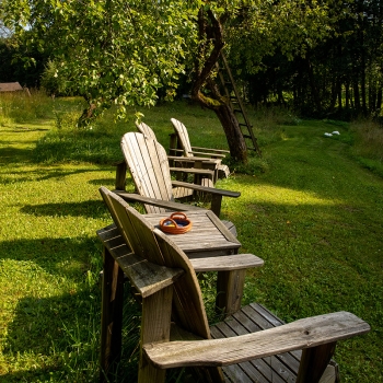 products_images-image-16230.jpg