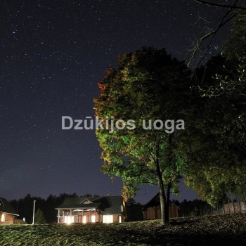 Homestead "Dzūkijos Uoga“