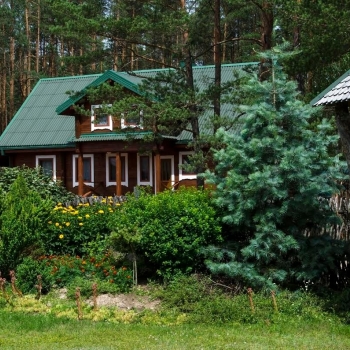 Homestead "Šilas“