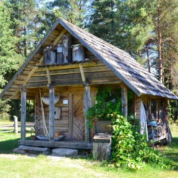 Drevinės bitininkystės bityno ekspozicija
