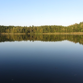 products_images-image-16721.jpg