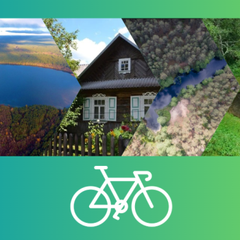 products_images-image-16758.png