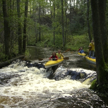 products_images-image-16790.jpg