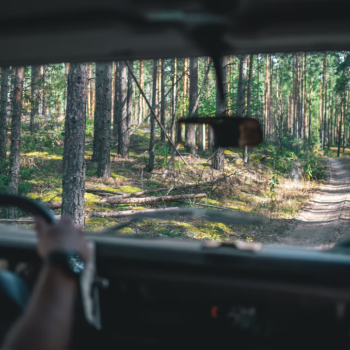 Per šilų kopas - 4X4 Tours