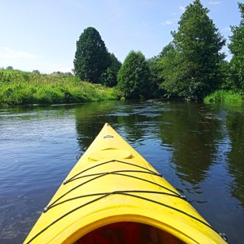 Kayaks and Rafts of Modestas