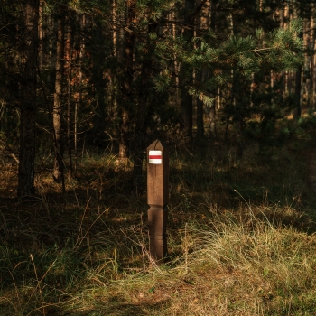 Varėna – Mergežeris – Lavysas – Mardasavas – Puvočiai – Lankininkai  – Merkinė