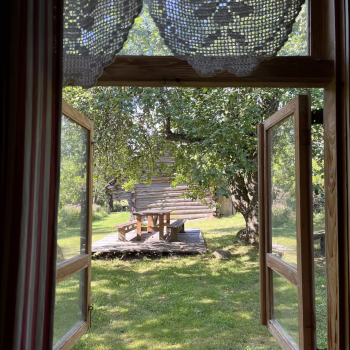 Homestead of Lina Černiauskienė 