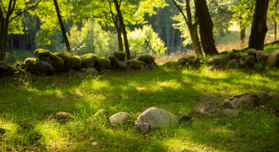 Gardens & Green Spaces Route