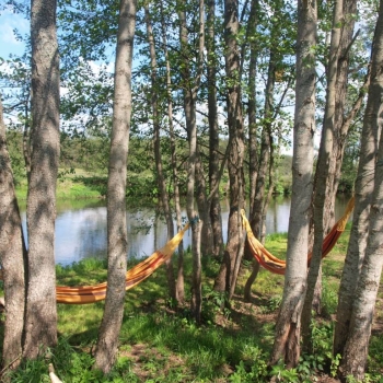 "Grikucis" campsite