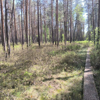 Drevinės bitininkystės pažintinis takas