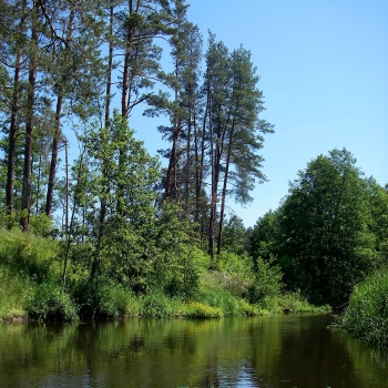 baidariunuoma24.lt
