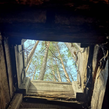 Milžinas Squad Dugout and Site of Death