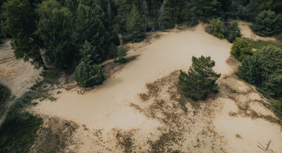 Gaidzių galo Dune (Kloniai Hill)