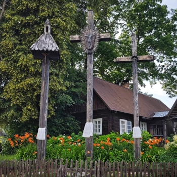 Zervynos 