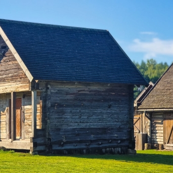 Zervynų pirkia