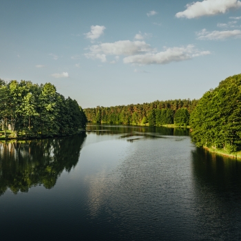 Krūminių piliakalnis ir gyvenvietė