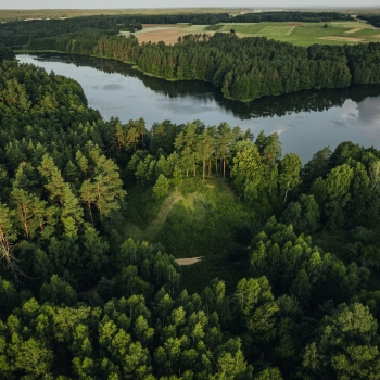 Krūminių piliakalnis ir gyvenvietė